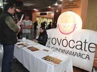Microempresarios de Cundinamarca comercializan sus productos en tiendas Carrefour Bogotá