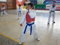 Esfuerzo, disciplina y dedicación, pilares del Club Deportivo de Taekwondo  Jansu