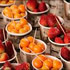 Uchuvas y fresas de Cundinamarca se podrán exportar