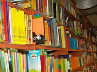 Concurso para fortalecer las librerías independientes de Bogotá
