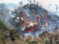 Incendio en San Mateo no afectó patrimonio arqueológico
