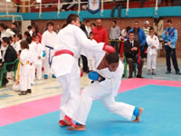 Madrid, sede del torneo de Karate Do