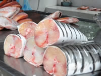 Se intensifican operativos de vigilancia a la venta de pescado en Soacha