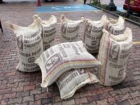 Productores cundinamarqueses recibieron 10 toneladas de cacao