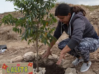 Siembran primeros 300 árboles en ronda del Río Soacha