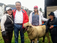 Alcaldía de Soacha entrega ovejas preñadas a campesinos