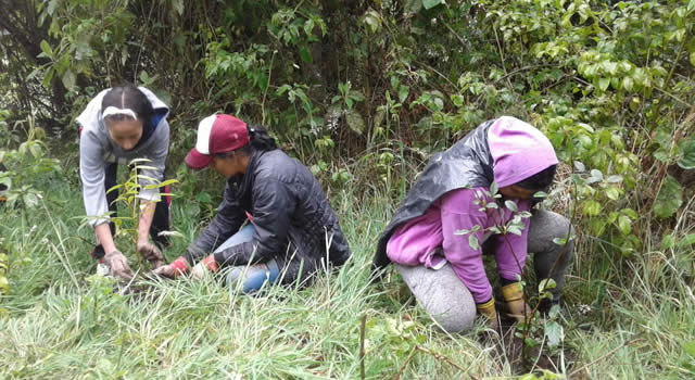 Cundinamarca promueve la protección del medio ambiente a través del proyecto NAMA Industria