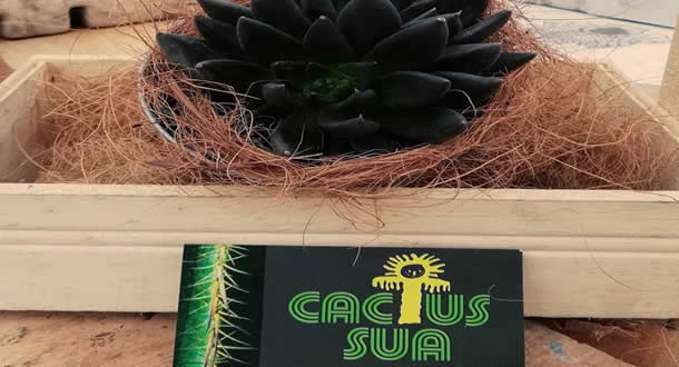 “Cactus Sua” emprendimiento orgánico y natural en Soacha