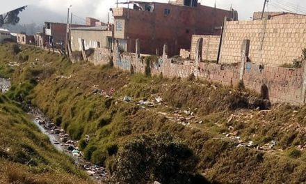 Fétidos olores y plagas deben soportar residentes de un sector de Soacha en cuarentena