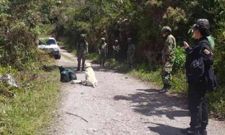 Explosivos y armas de disidencias de las Farc  en una finca de Cundinamarca