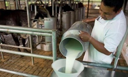 $4.000 millones al sector lácteo para superar excesos de producción