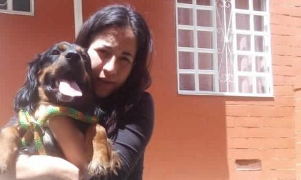 Perro abandonado en Soacha ya tiene nuevo hogar, su dueña pide ayuda para cuidarlo