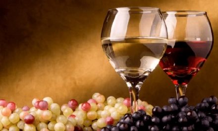 Subachoque produce vino de arándanos