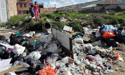 Plagas y  basuras invaden un sector de Soacha