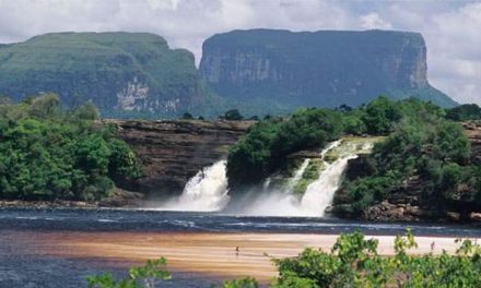 Parque Nacional ‘El Tuparro’ cumplió 40 años