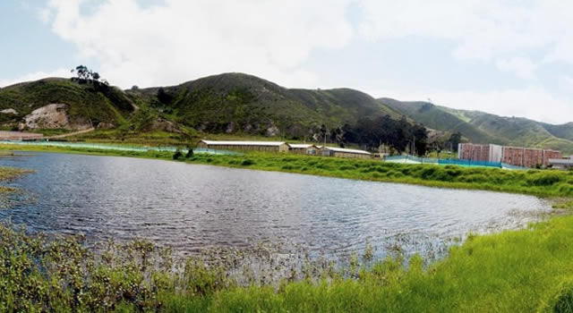 Nadie detiene vertimiento de aguas contaminadas al humedal El Vínculo Maiporé en Soacha
