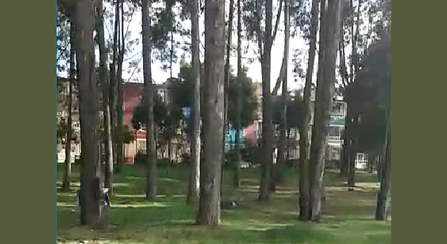 Funcionarios de la Alcaldía de Soacha sorprendieron a un grupo que hacía ejercicio, llegaron a tumbar los árboles