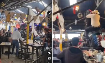 [VIDEO] Caballo rompió platos, vasos y mesas en prestigioso restaurante de Bogotá