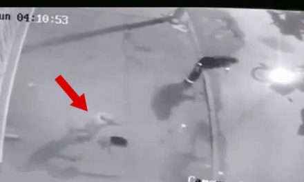 [VIDEO] Valiente hombre frustró robo de motocicleta en Soacha