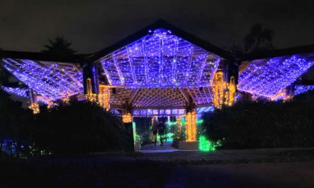Jardín Botánico de Bogotá abre ‘Pacificanto’, el show de alumbrado navideño