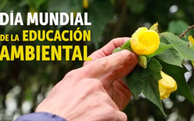 Bogotá conmemora el Día Mundial de la Educación Ambiental