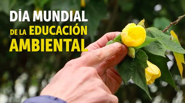 Bogotá conmemora el Día Mundial de la Educación Ambiental