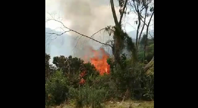 Persisten incendios forestales en los alrededores de Bogotá