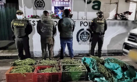 En una camioneta transportaban 20 kilos de marihuana en Cundinamarca