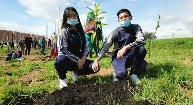 Primer bosque urbano de Bosa, se sembraron 3 mil árboles en la ronda del río Tunjuelito