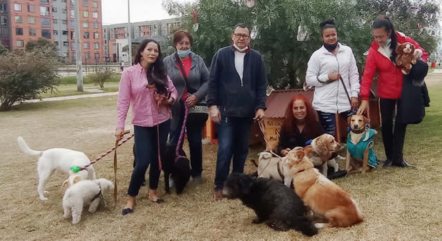 Animalistas en Parque Campestre ofrecen refugio a perros callejeros