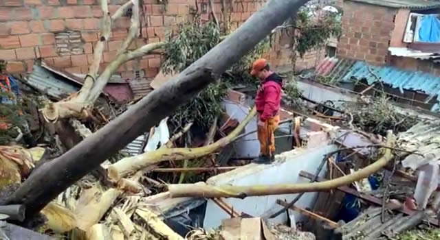 Árbol cayó sobre tres casas en Soacha