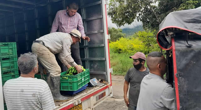 Con Misión Rescate, Gobernación de Cundinamarca comprará cosechas a productores afectados por el invierno
