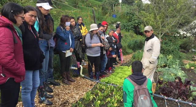Jardín Botánico de Bogotá gradúa primera promoción de agricultores urbanos del Distrito