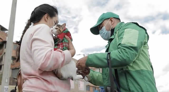 Abren cupos para la esterilización de animales de compañía en Bogotá