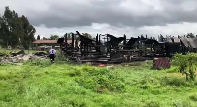 Cinco perros muertos y un establo destruido deja incendio en Chía, Cundinamarca