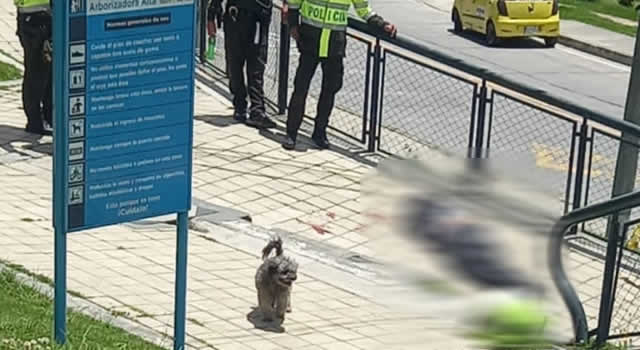 Policía da de baja a presunto sicario en Bogotá