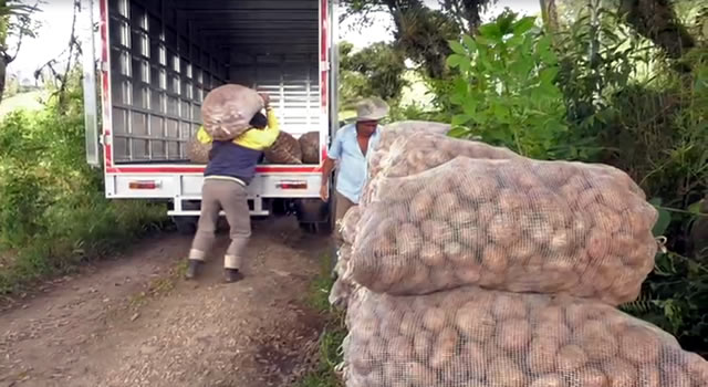 Gobernación invertirá $20 mil millones para la compra de cosechas en Cundinamarca