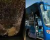 [Video] Hinchas atacan bus de Millonarios al llegar al Campín