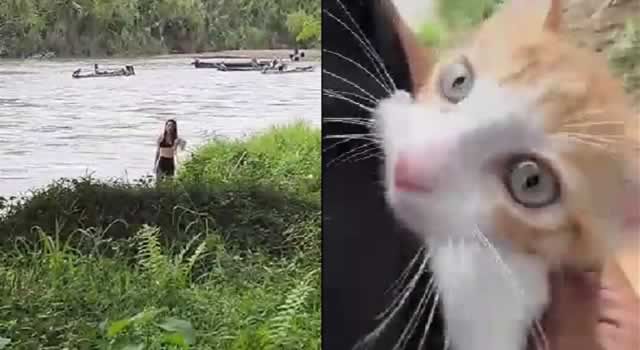 En las últimas horas un video le ha dado la vuelta a Twitter en Colombia ya que una mujer es grabada mientras arroja gatos a un río, alcanzó a botar dos de los gatos.