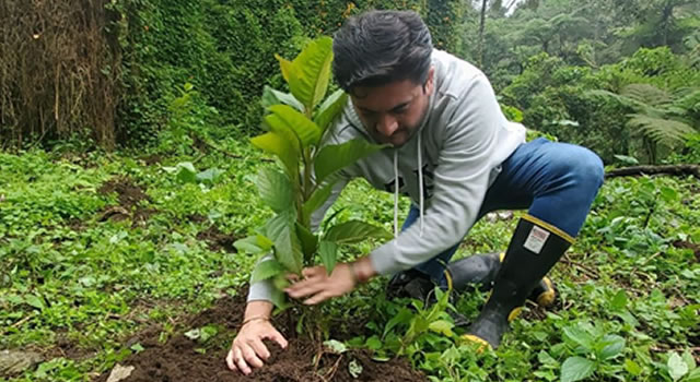 La campaña ´Recicla con TIC´ liderada por la Secretaría de las TIC y la CAR han sembrado 100 especies nativas de árboles en diferentes municipios de Cundinamarca.