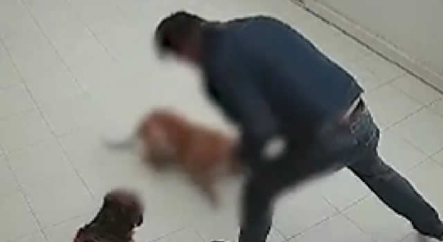 En video quedó registrado el momento exacto en que un sujeto arremetió contra su mascota que al parecer por miedo actuaba de manera agresiva. El hombre que atacó a su perro con correa ya fue judicializado.