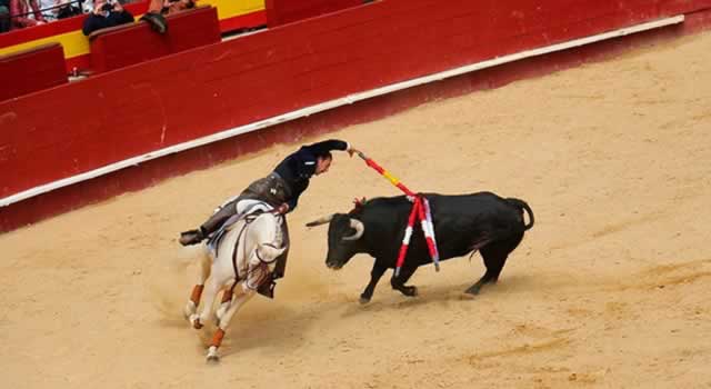 Congreso aprobó ley que prohíbe las corridas de toros en el país