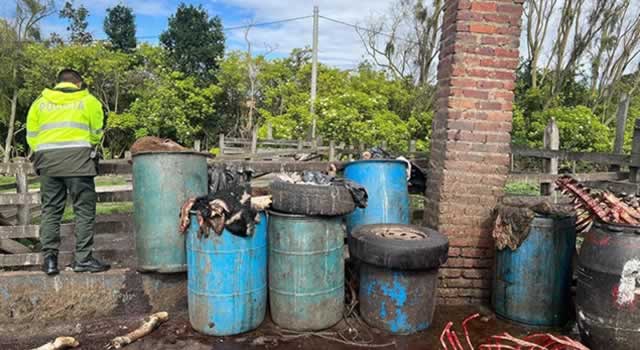 Policía desmanteló un matadero ilegal en Tenjo, Cundinamarca