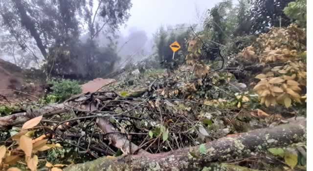 Van 12 municipios de Cundinamarca afectados por el inverno