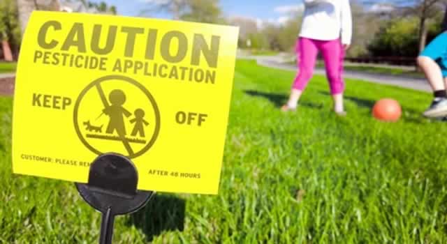 Niños de Usme y Sumapaz sufren de déficit de atención por pesticidas