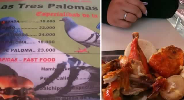 Distrito se pronunció ante el viral y falso asadero de palomas en Bogotá