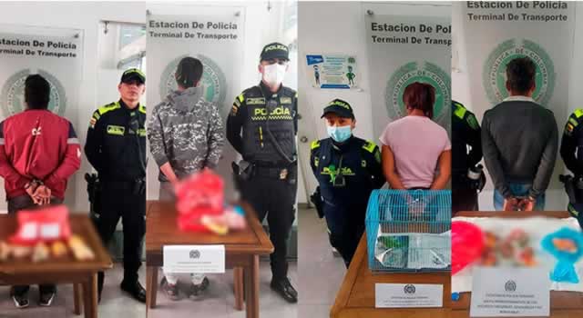 Capturan 28 personas por transportar carne de animales silvestres en Bogotá