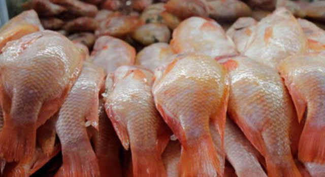 Bajó el precio del pescado y otros alimentos en Corabastos