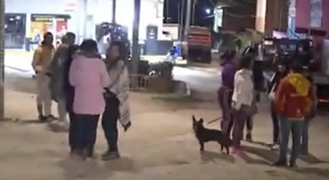 Maltrato animal: 22 perros fueron envenenados en Ciudad Bolívar por un desconocido