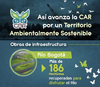 Publicidad CAR